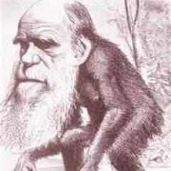 hidup harus seimbang antara manusia, lingkungan, dan Tuhan.
Majukan biologi di Indonesia. Majukan Indonesia lewat niologi