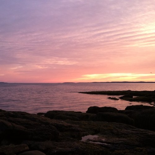 cswdougherty's profile picture. 