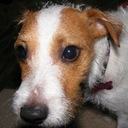 Ashlynn Taylor - @ashlynn_ttaylor - Twitter