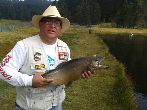 carmona_rafa's profile picture. 