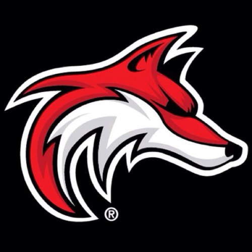 FoxesFootball's profile picture. Fox Chapel Football Team.