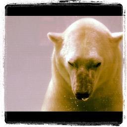 EDwarddreary's profile picture. Writer and editor