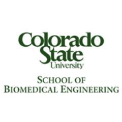Biomedical engineering research at CSU is aimed at developing new technologies to advance health care, from diagnostics to treatment.