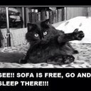 kimberly holgate - @kimberlyholgate - Twitter