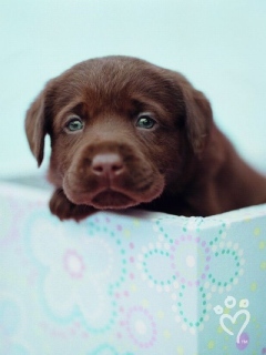 23redangels's profile picture. Im a 25 male, cool, sweet & charming!