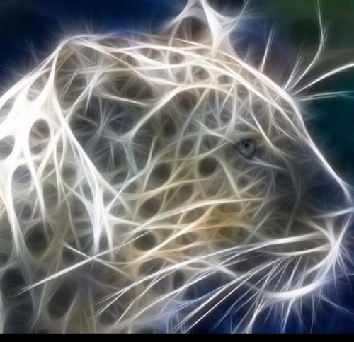 NPG101's profile picture. 