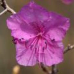 ysoochan's profile picture. 용수철처럼.. 뛰어오르자.