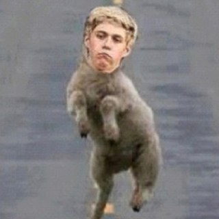 THIS IS OBVIOUSLY A CAMEL FANPAGE 