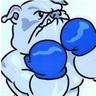 DACBOXING's profile picture. Volunteer amateur boxing coach!