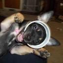 Sandra Grainger - @Sandra_Grainger - Twitter