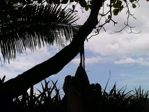 leashkeys's profile picture. Hola