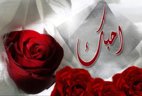 لن يجف حبر قلمي .. ولن تمحو كلماتي ، سانبض هنا .. وسينبض معي ♡