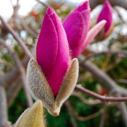 mhackett_2000's profile picture. 