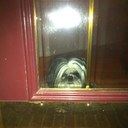 Danny Dotson - @DblD_526 - Twitter