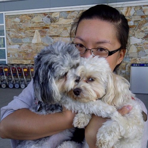 GrumpyJoyce's profile picture. 