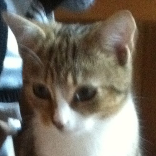 docer681's profile picture. 