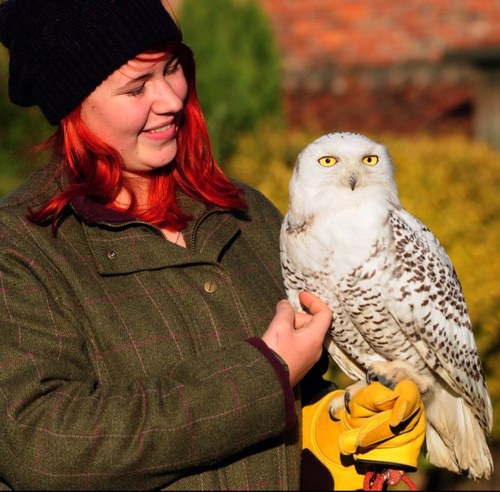 HollyPickford94's profile picture. Lover. Fighter. Hard Worker. Dreamer. Beliver. Falconer. Shooter. Big achiever.