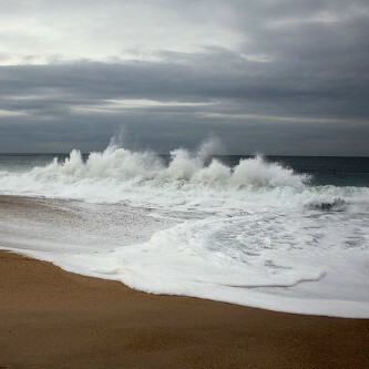 nmeraikhi's profile picture. 