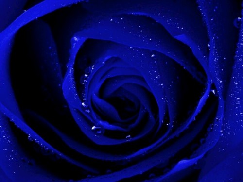 awest572_west's profile picture. $ Trippy $