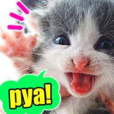 世界の厳選面白ネタ画像まとめ Pya Pyaupdate Twitter