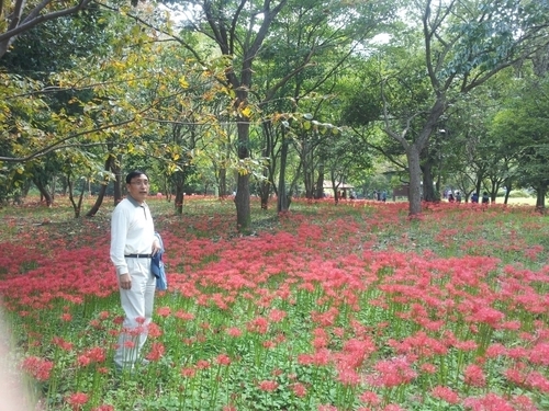 tiger505050's profile picture. 사진, 일본, 무역, 로봇, 바둑