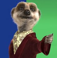 Steve Mackey
