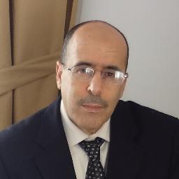 Hôtelier ayant plus de 30 ans d’expérience avec des chaines de standing: Hilton, Sheraton & Golden Tulip.
Actuellement je représente Vondom: Mobilier Extérieur