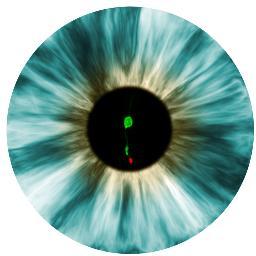 Gene and Cell Therapy Group at @UCL Institute of Ophthalmology (@UCLeye), which includes the Retinal Phenotyping Research Group @UCL_Retina 👁️👁️