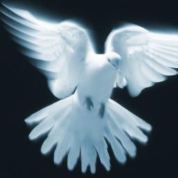 I love God and have a sincere desire to help others.