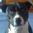 Laura Philpott - @boblepoisson - Twitter