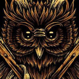 Freelance Ilustrator
