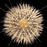 NHM Micropalaeo(@NHM_Micropalaeo) 's Twitter Profile Photo NHM Micropalaeo(@NHM_Micropalaeo) 's Twitter Profile Photo