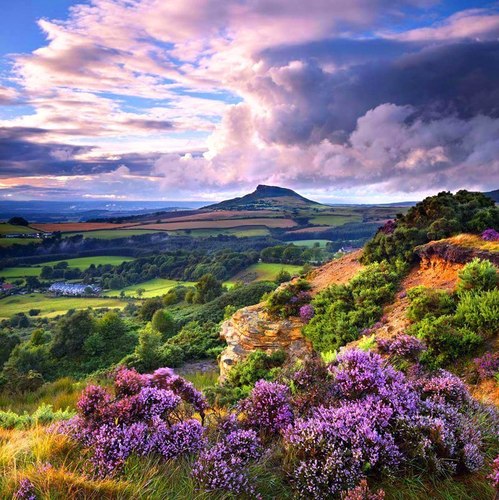 tyketalltales's profile picture. I'm a typical Tyke, true and proud. I don't take life or myself too seriously. I am partially dyslexic so words are both my passion and my nemesis.