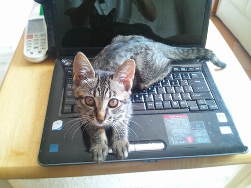 smiletukibook's profile picture. 