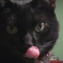 Amy Surridge - @ASurridge - Twitter