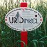 urdinkel's profile picture. UrDinkel - das wertvollste Getreide. UrDinkel ist eine Spezialität der Schweizerischen Interessengemeinschaft (IG) Dinkel.