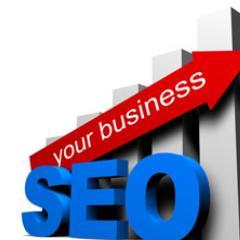 seoworks1's profile picture. SEO is a technique which helps search engines find and rank your site higher than the millions of other sites in response to a search query.