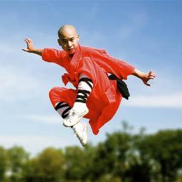 shaolinkungfu4's profile picture. 