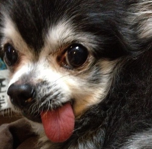 knknkn1119's profile picture. 営業→広告ディレクター兼ライター→企画(戦略とかマーケとか生産性向上とか)→メンタルダウン→マーケなう。hr/jazz/trumpet/エレ片とバナナムーンとターンとリトルトゥース/創大38thPMJO/noteでうつ病体験記/有益なツイートしてません