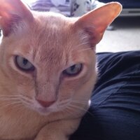 Phyl (@phyl_jones) 's Twitter Profile Photo