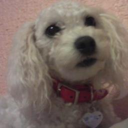 Paogutylda's profile picture. Porteña ❤️ 🇨🇱 Tu Podí..... 💋