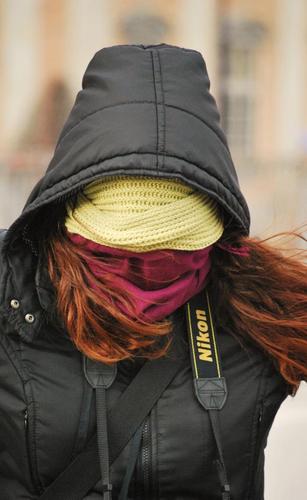 Alice_Crash's profile picture. 