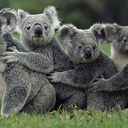 Julian Kitchen - @JulianKitchen - Twitter