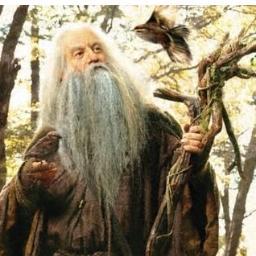 I am Radagast the brown i am one of the istari wizards i live in Rhosgobel on the western eaves of Mirkwood, near the Gladden Fields on the Great River.