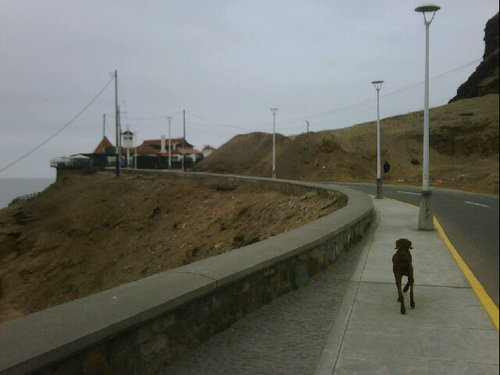 galandenopor's profile picture. Fanático de todos los deportes, "adicto al gol", runnorexico severo con más de 50 maratones corridas, artista plástico ecológico y Director de Arte en Cine.