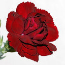 maria azorin garcia - @mariazorga - Twitter