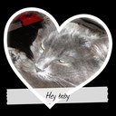 sami kennedy - @flamingfluffy - Twitter