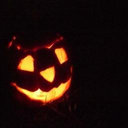 dgcesaretti's profile picture. 