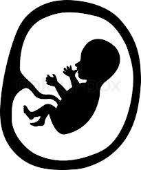 tweeting from my mother's womb, R3B3L LYF YH xo (the original royal baby, all the other basic bitches are copies)