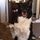 Dianne Barker - @DianneBarker - Twitter